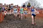 Womens under-17s Inter Counties Cross Country, Prestwold Hall, Loughborough. Photo: David T. Hewitson/Sports for All Pics